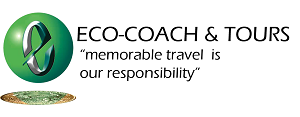 eco coach and tours reviews