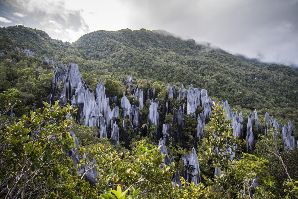 4D/3N MULU & PINNACLES ADVENTURE