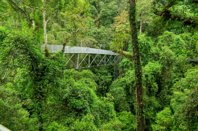 SUNGAI SEDIM – KEDAH