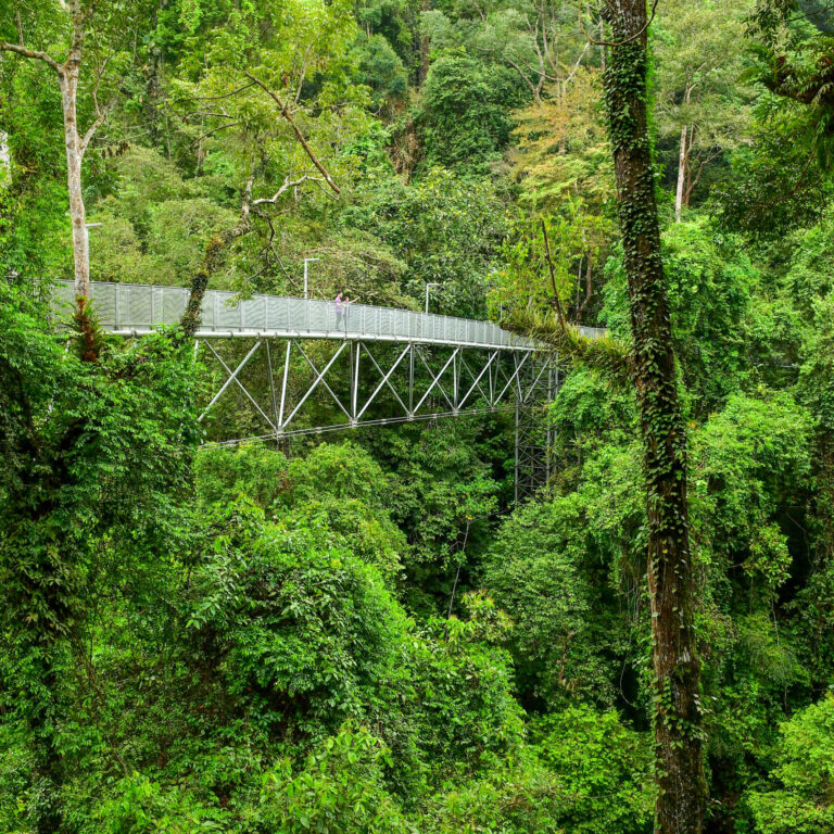 SUNGAI SEDIM – KEDAH
