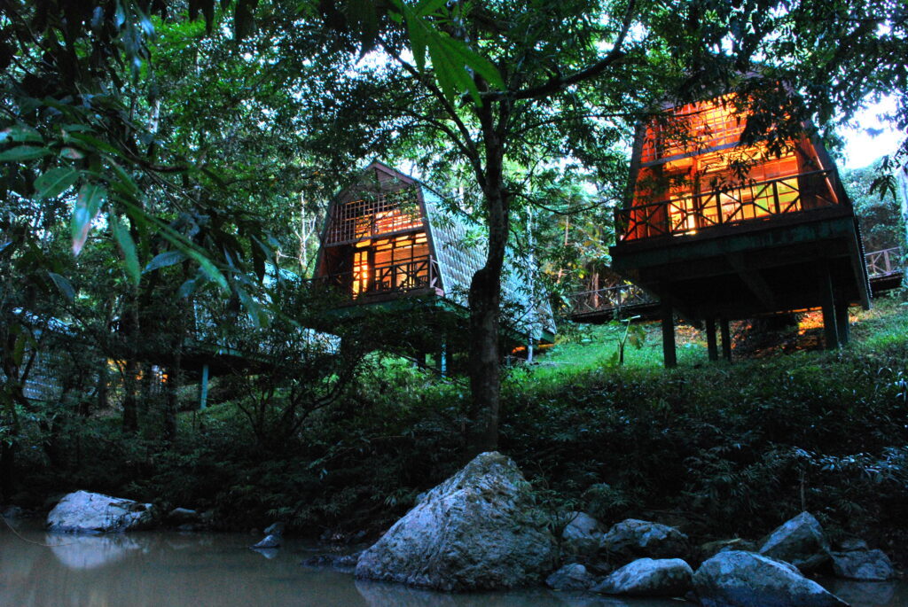 PROMOTION PACKAGE! 3 Days 2 Nights Tabin Wildlife Safari