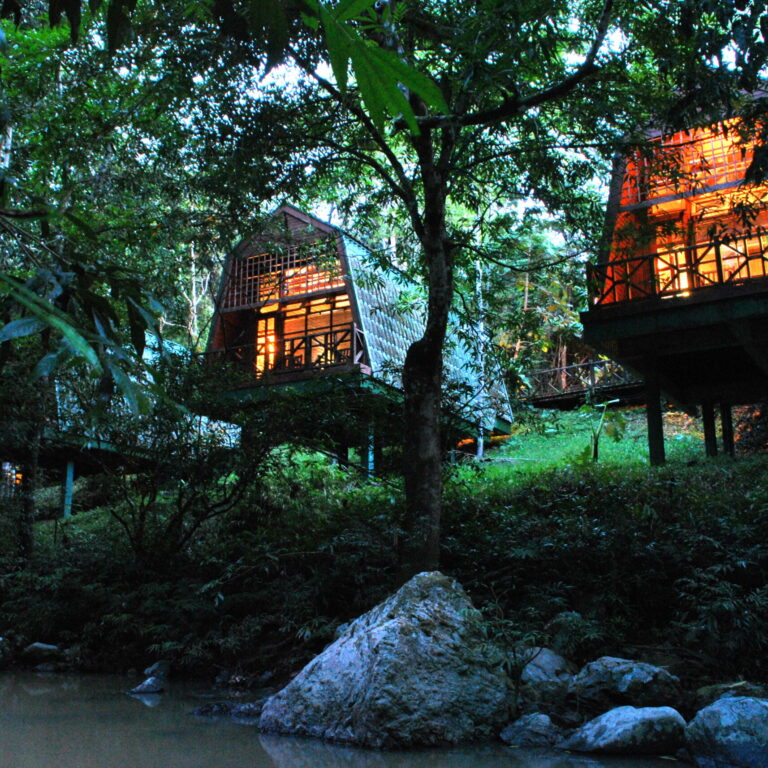 Tabin River Lodge Night