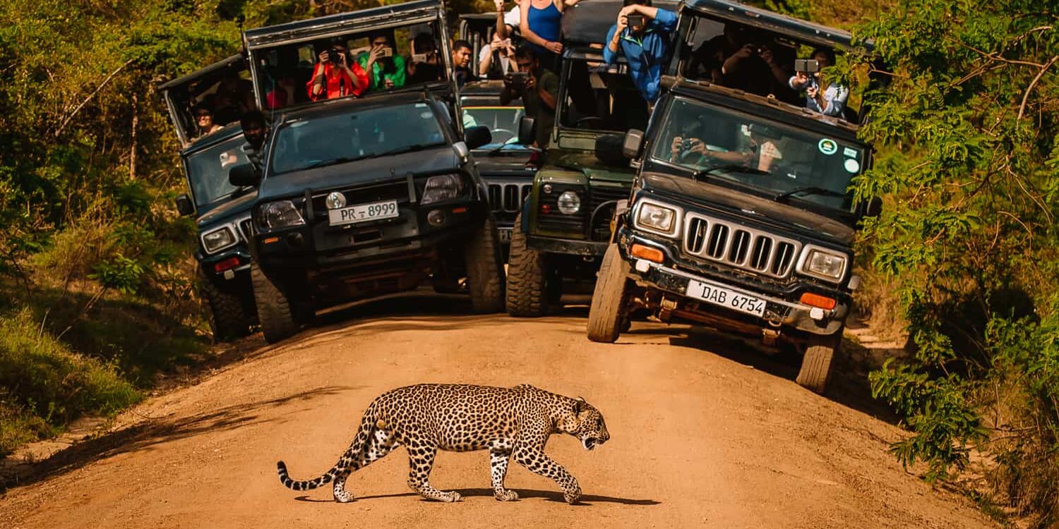 Crowded-Yala-national-park