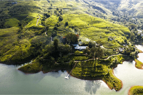 Screenshot 2025-10-01 234255