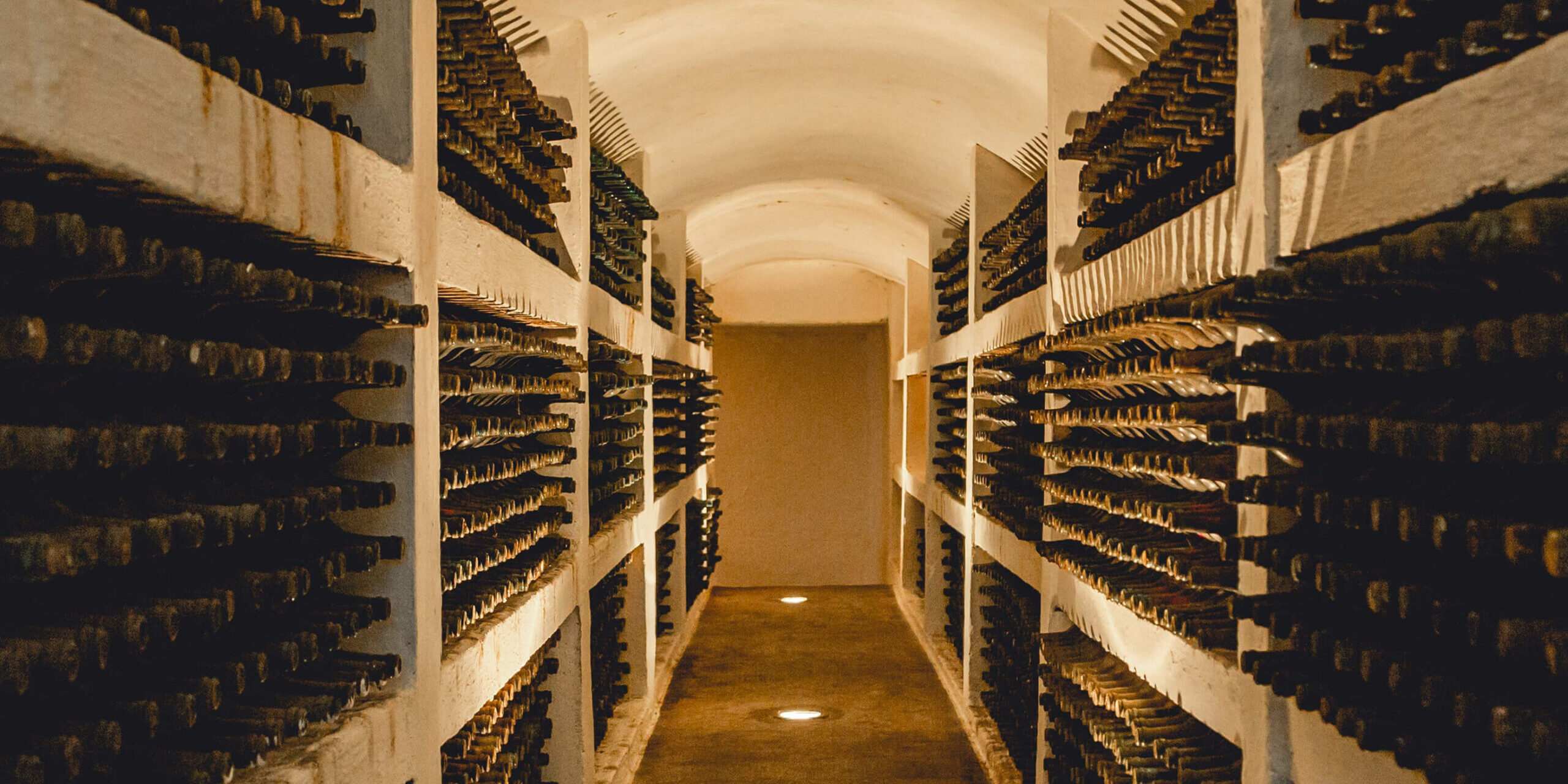 purcari-slider-cellar_1